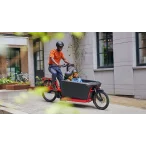 Fetch+ 4 Lava - e-CITY / e-HYBRID - 10
