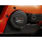 Fetch+ 4 Lava - e-CITY / e-HYBRID - 4