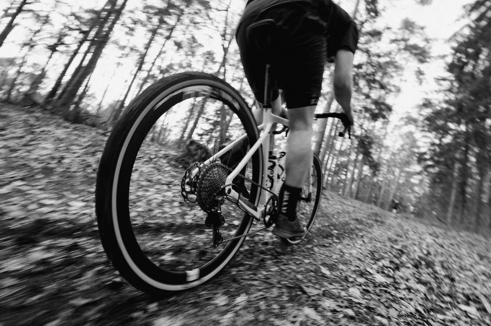 Onza zračnica MTB 29″