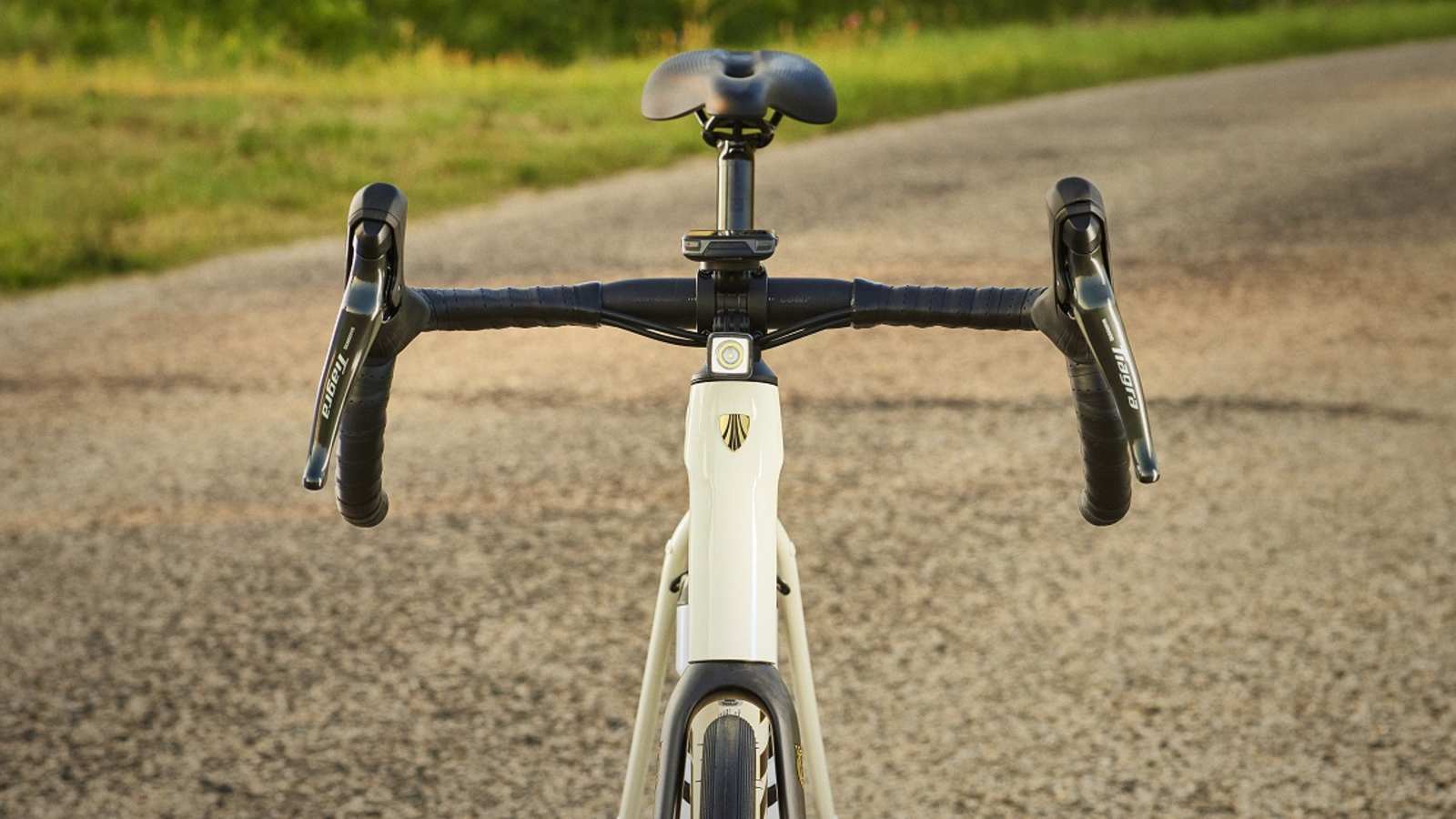 Domane AL 5 Udobna endurance geometrija